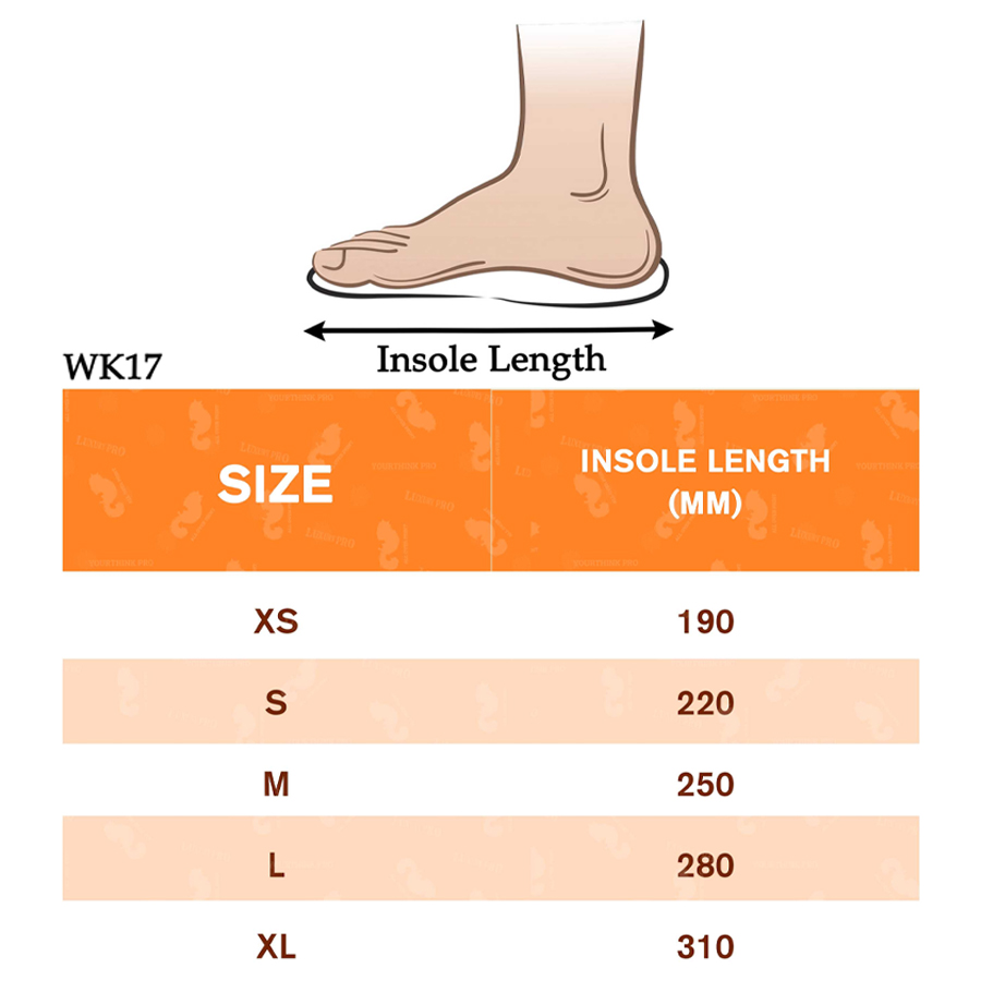 Canvas Trendy Shoes II