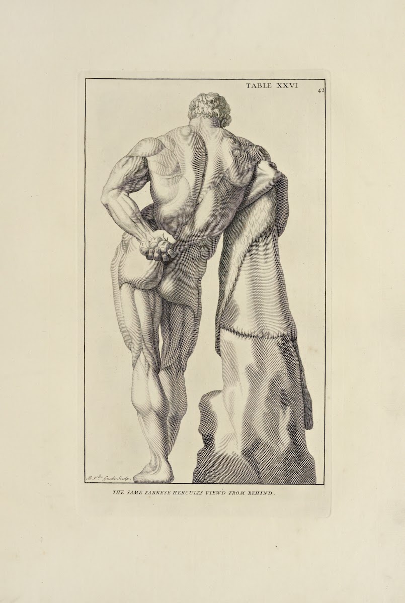Anatomy improvd and illustrated with regard to the uses thereof in designing Pl2