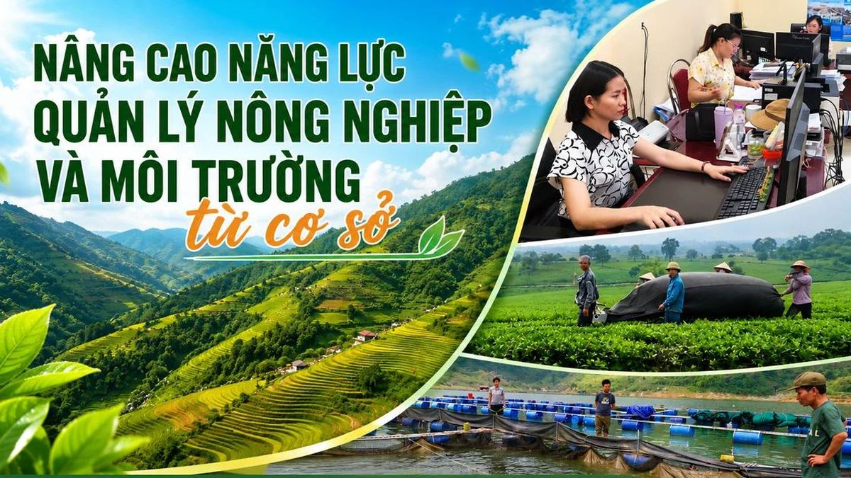 Nâng cao năng lực quản lý nông nghiệp và môi trường từ cơ sở - Báo Lào Cai