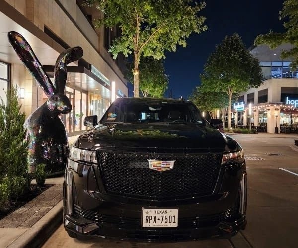 Black Cadillac Escalade parked on a Houston city street at night