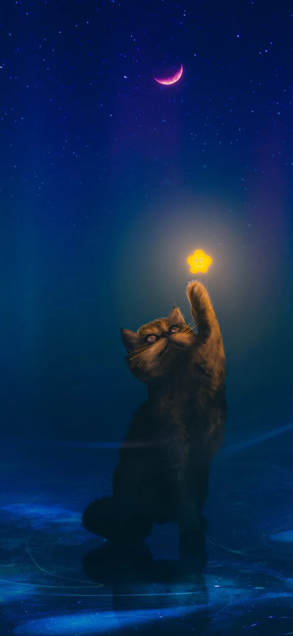 A Charming Cat Reaches For A Cute Star 4K iPhone Phone Wallpaper