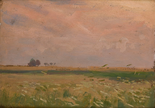 Fields near Bronowice 1902