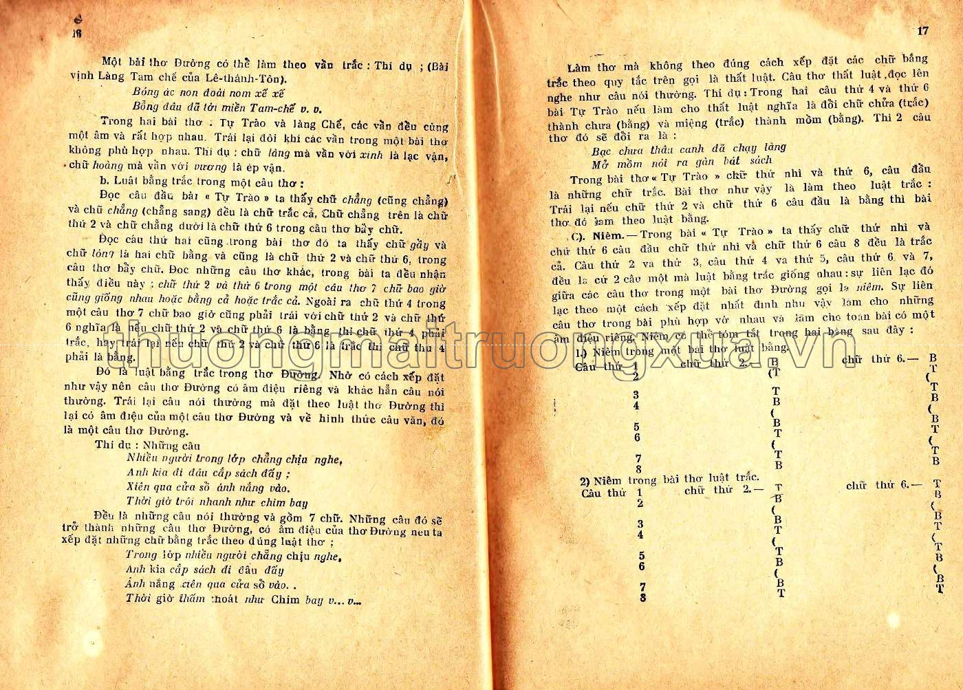 Việt văn diễn giảng đệ thất, đệ lục (1957) - Trang 8