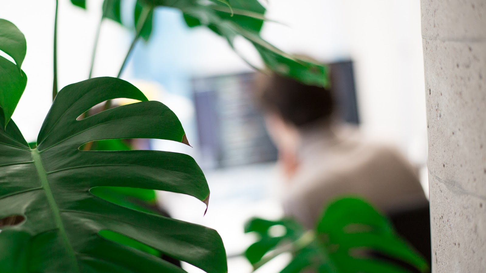 Florios Arbeitsplatz während der Web-entwicklung 