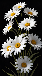 High Contrast White Daisies on Black Minimalist