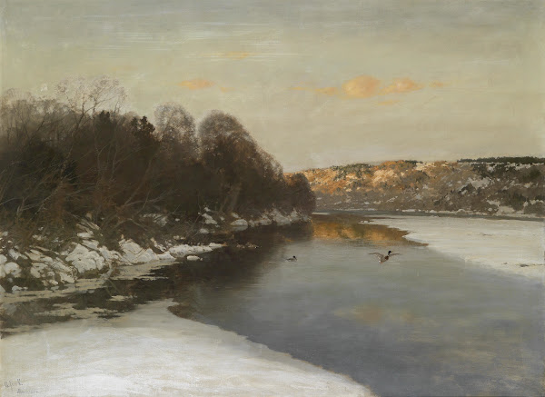 Enten Am Zugeforenen Fluss