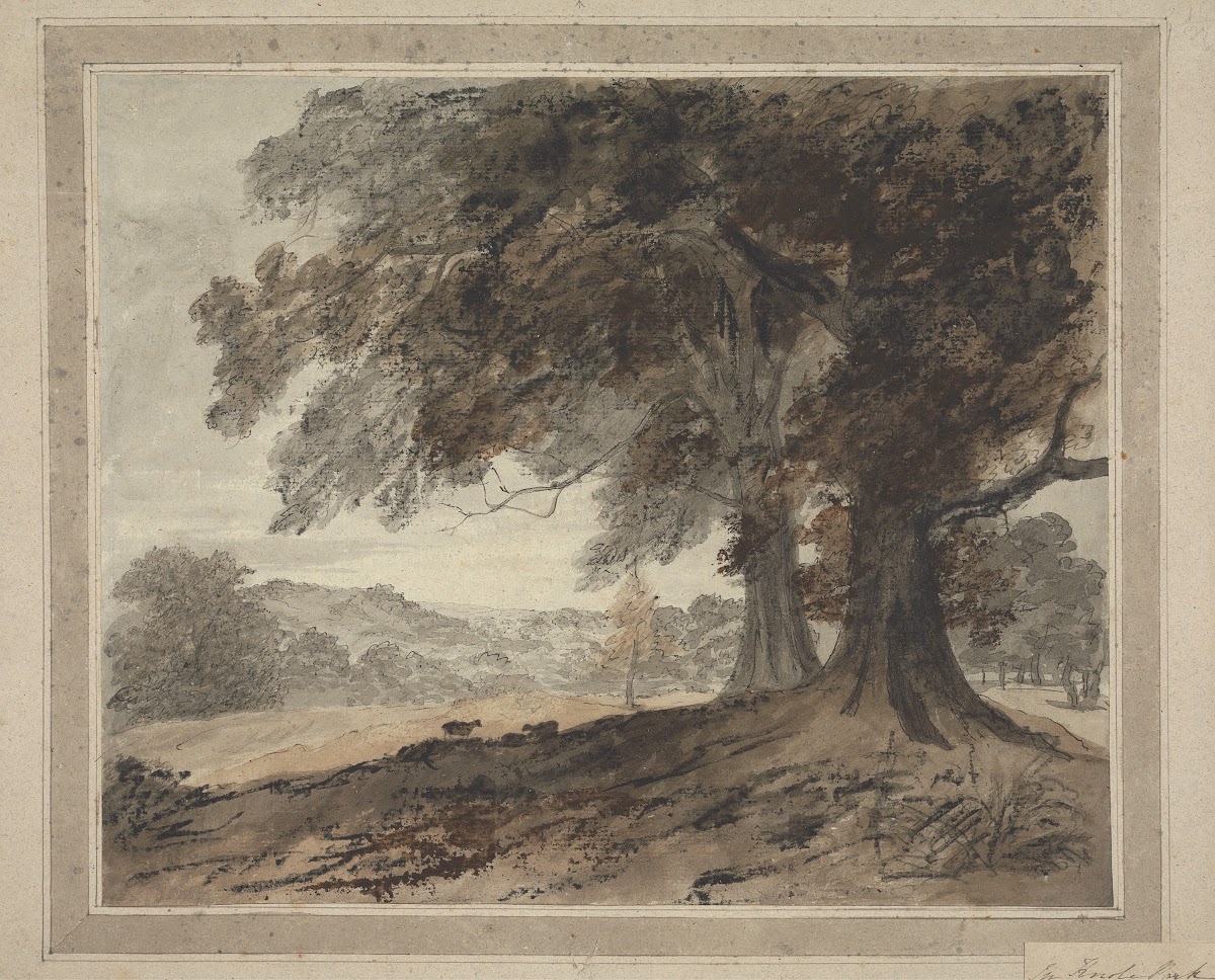 In Knole Park