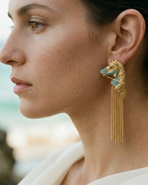 Earrings piece image