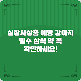 강아지심장사상충약, 강아지 건강, 반려견 관리, 초보 반려인, 예방 의학