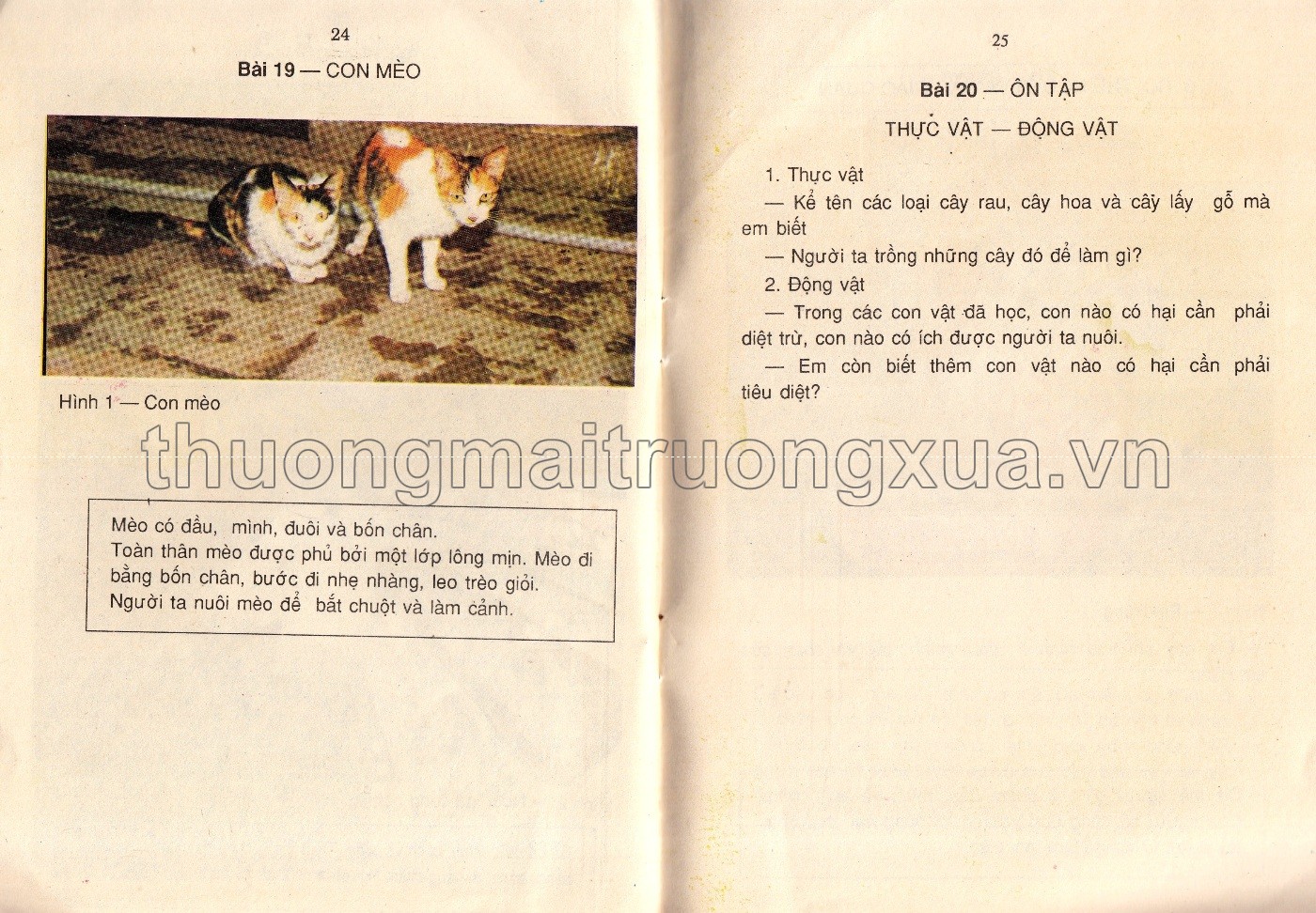 Tự nhiên và xã hội 1 (1993) - Trang 63