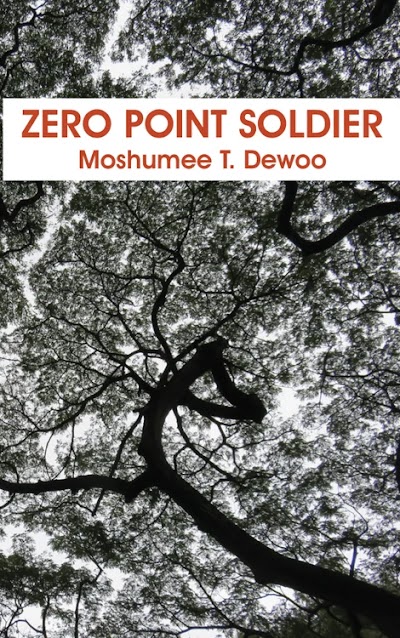 Zero Point Soldier