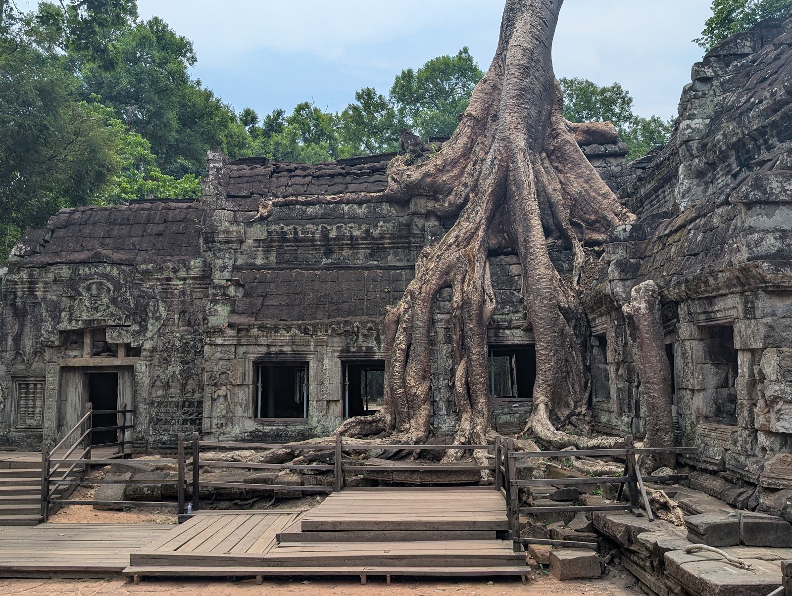 Temple ruins with roots of a big ficus growing from the roof
                 and cascading over the walls to the ground below