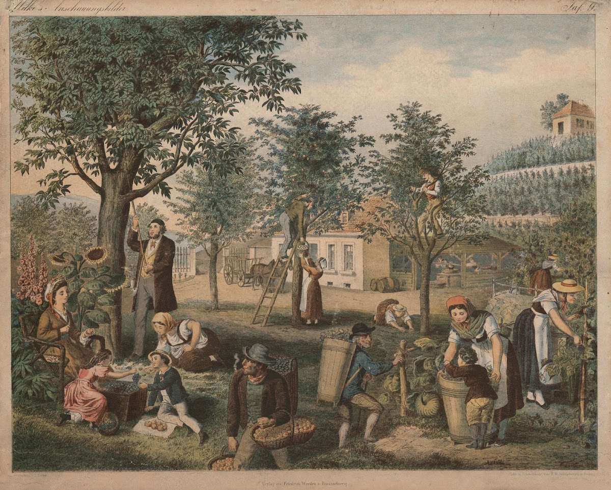 Fruit harvest 1875