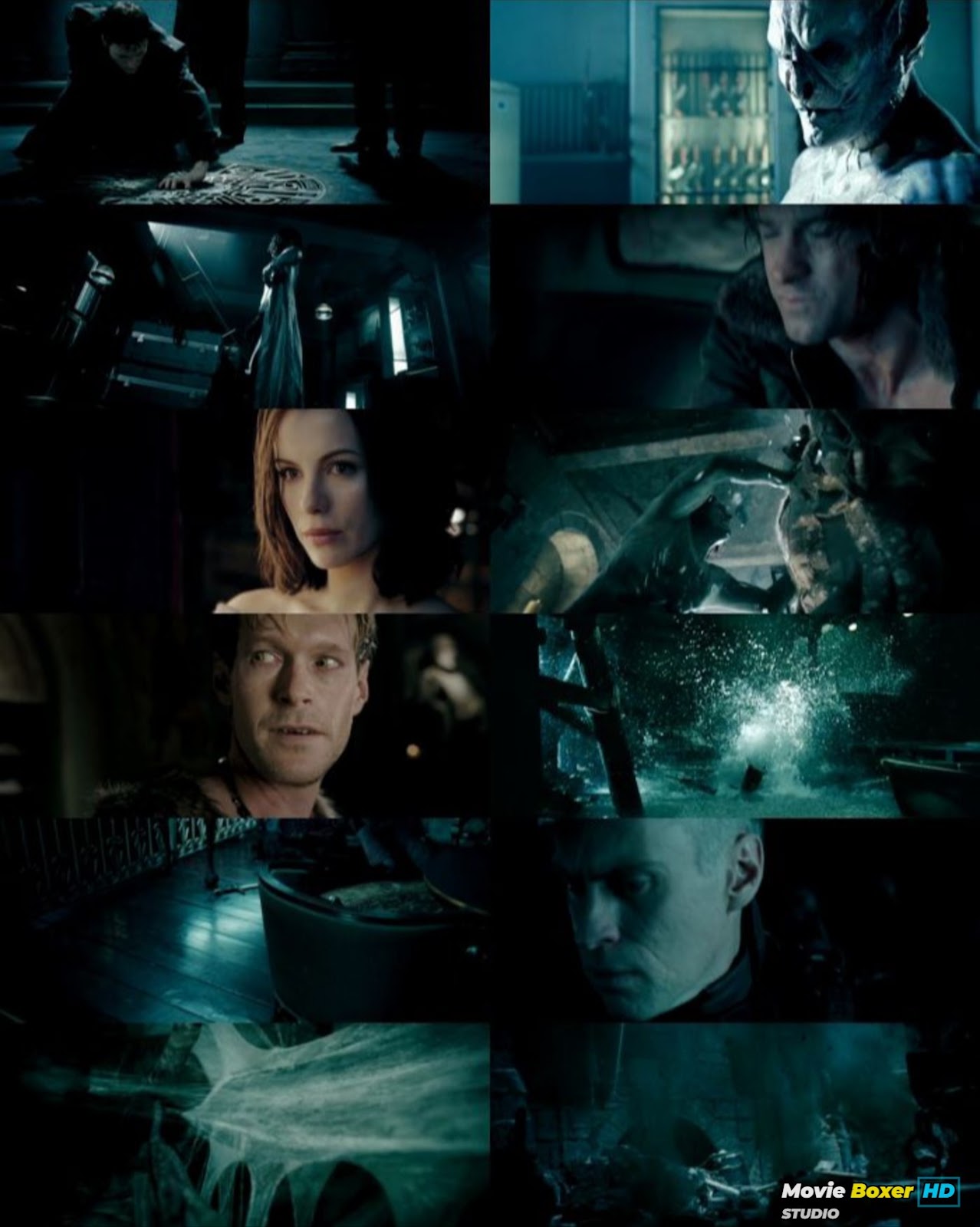 Screenshots Grid