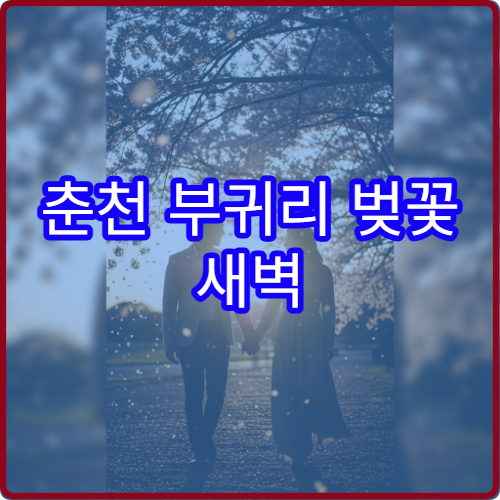춘천 부귀리 벚꽃 새벽 산책 소양강변 조용한 코스 추천