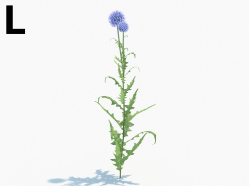 Maxtree - Plant Models Vol.3