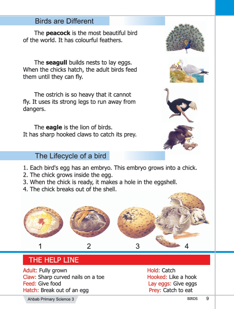 Science Book 3