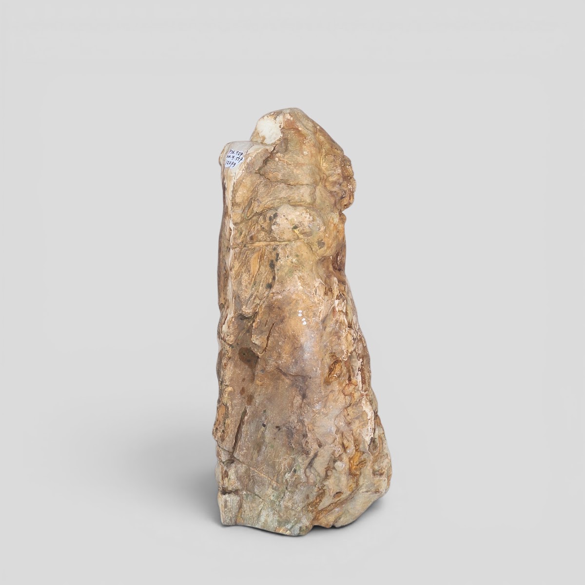 PEDESTAL SEMI POLISH — SKU PJA.35.29 | Petrified Wood by PJ Antique Bali