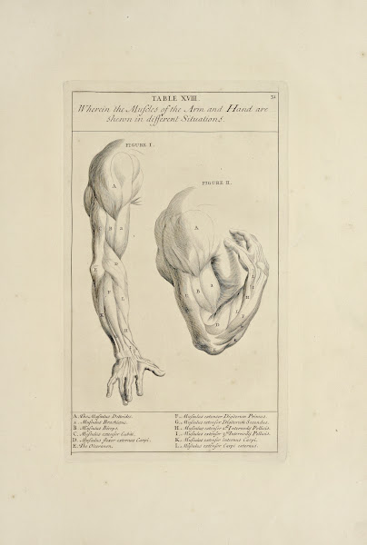 Anatomy improvd and illustrated with regard to the uses thereof in designing Pl1