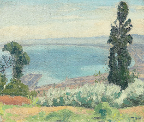 Baie dAlger vue dEl Biar 1924