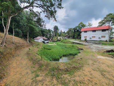 Eco Resort Land Jenderam Hulu (2.78 ekar + bangunan siap) — foto 6/10