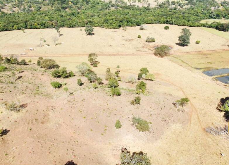 Fazenda no Município de Faina - GO 7