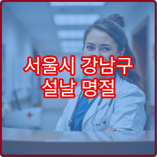 서울시 강남구 설날 명절 응급의학과 연휴 진료 병원 24시간 외상·심장 응급 대처 가능