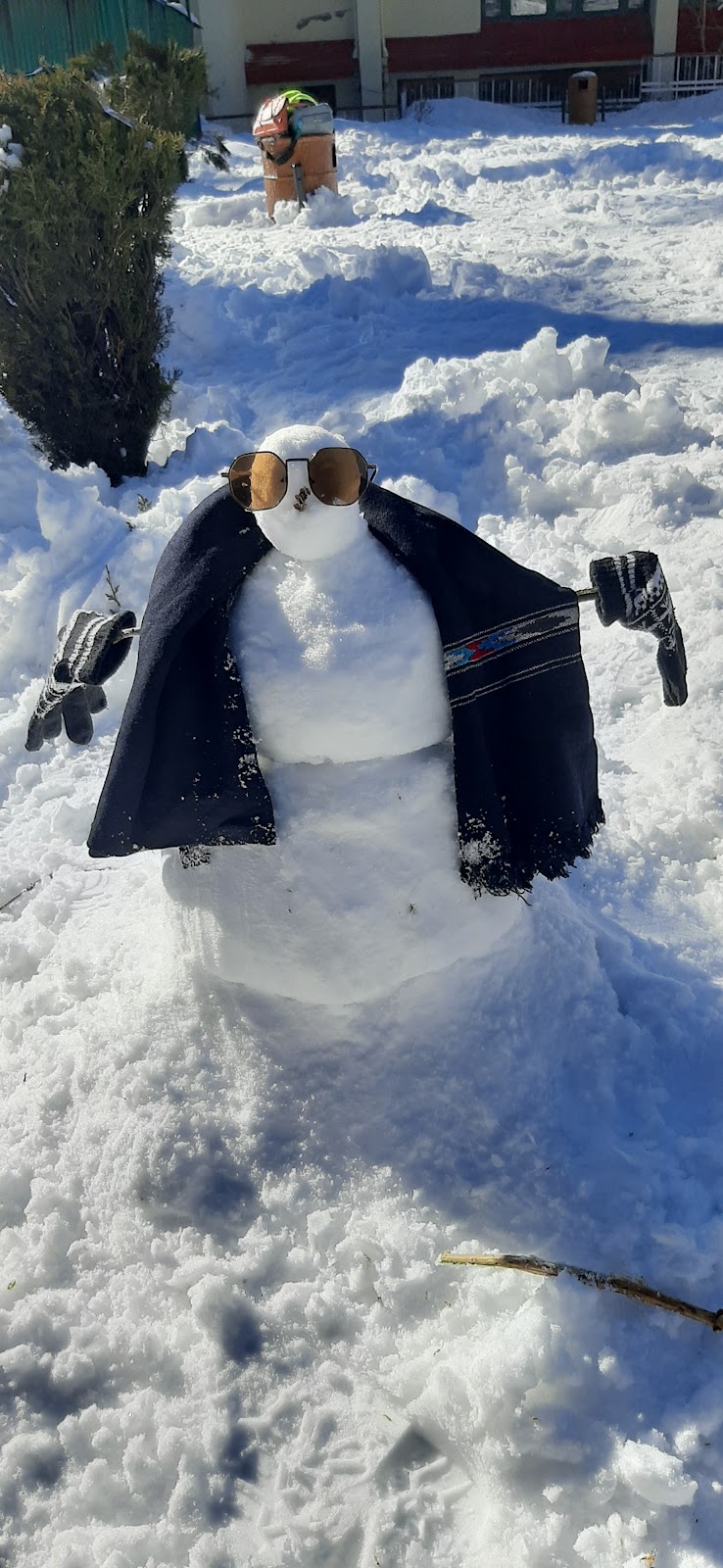 आम्ही बनवलेला snowman