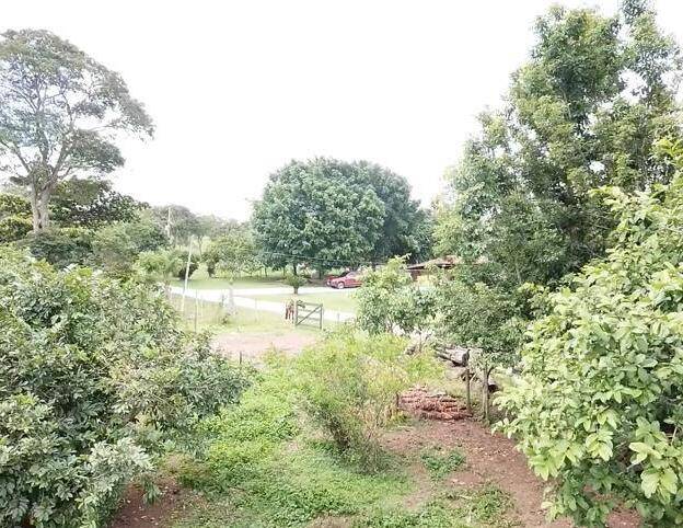 Chácara em Bela Vista de Goiás-GO 7
