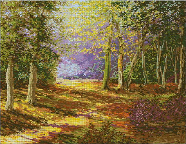 CMP 320098 In The Forest
