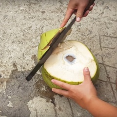 Dừa tươi, mua trái nguyên, về dạt đầu nhớ giữ lại phần đầu dừa đã chặt để làm nắp đậy. Nếu không có dụng cụ chặt tại nhà, bạn nhờ người bán chặt miệng dừa dùm, miệng dừa chặt rộng ra xíu để dễ bỏ tôm nguyên con vào, giữ lại nước dừa trong trái để luộc tôm nha.