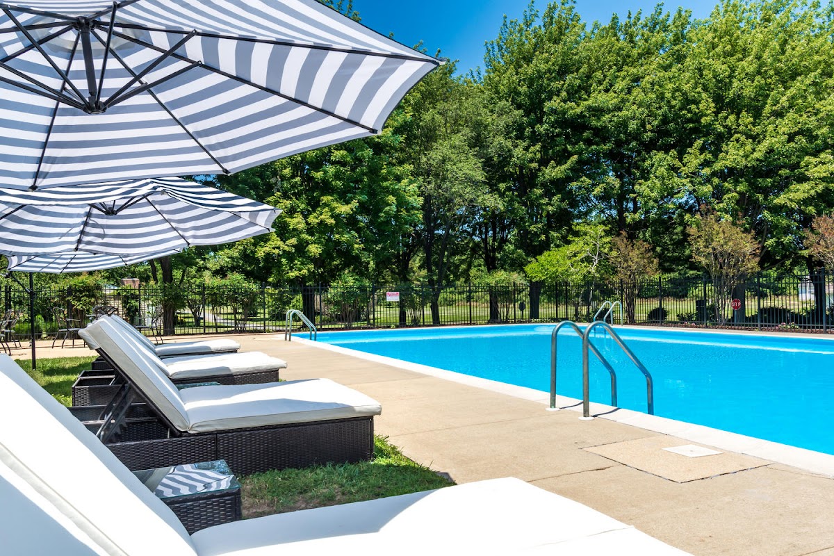 The swimming pool