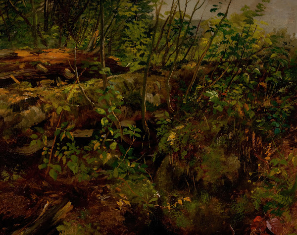Study from Nature 1869