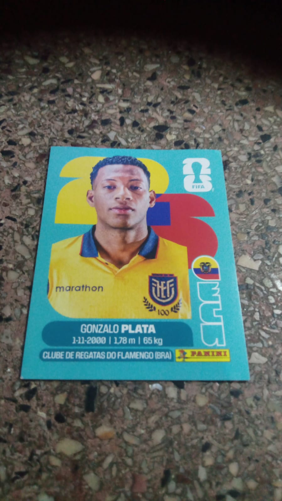 Gonzalo Plata 