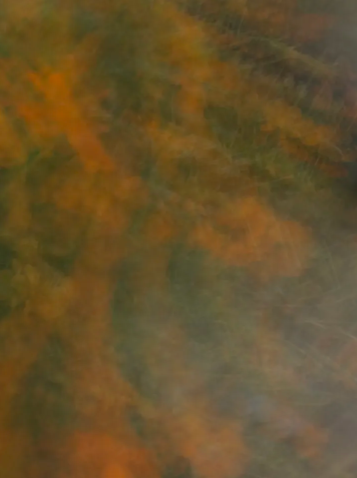 무궁무진무용단