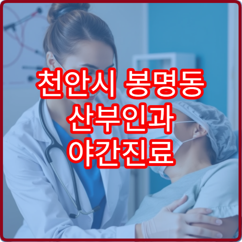 천안시 봉명동 산부인과 야간진료 병원 최신 업데이트