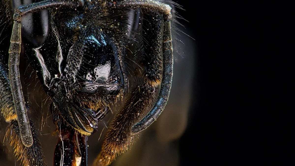 복리와 단리 개념 차이와 금융 상품 선택 시 고려 사항