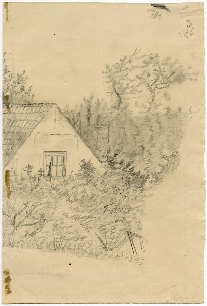 Cottage in the woods