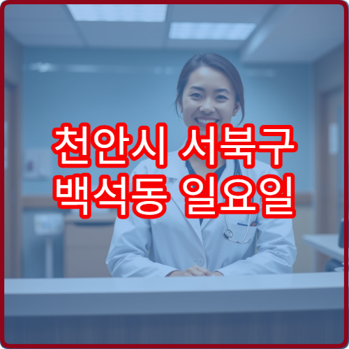 천안시 서북구 백석동 일요일 치과 진료 병원 주말 치주 치료