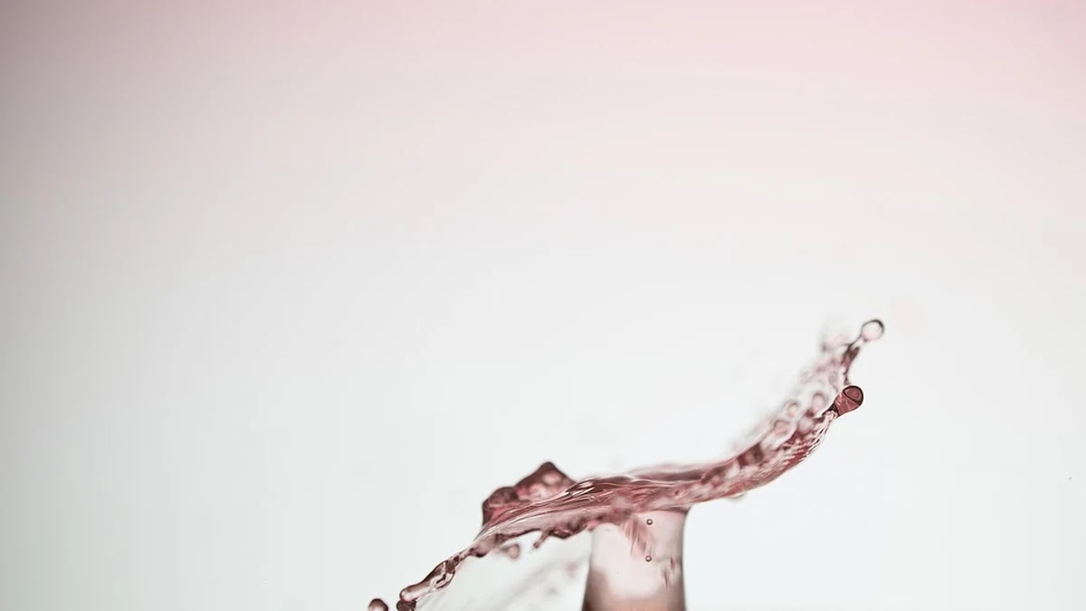 심리학 실험으로 본 투자자 확증 편향 유형과 대응 전략