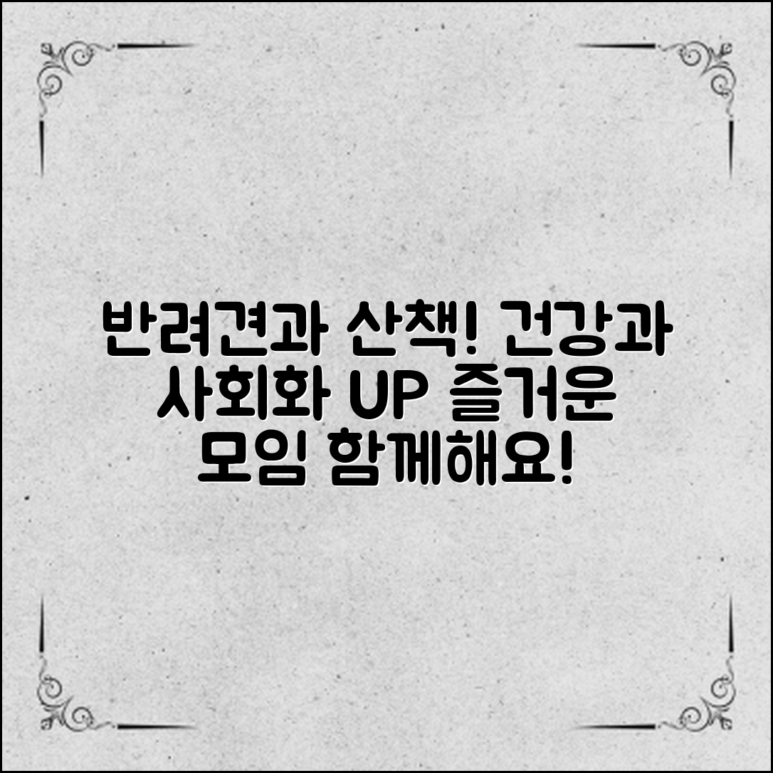 반려견과 함께하는 즐거운 산책 모임, 사회화와 건강을 동시에 챙기는 방법