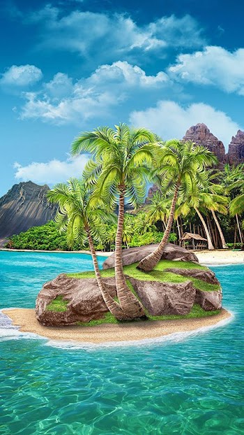 Tropical Island Picture