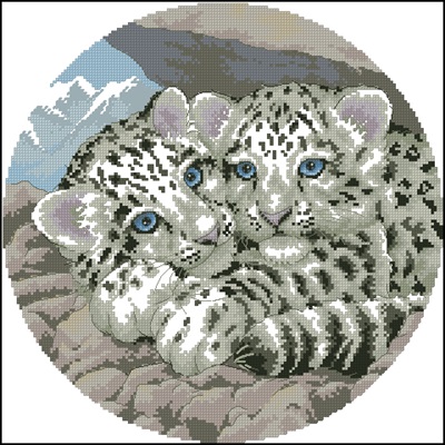 CMP 400940 Pattern