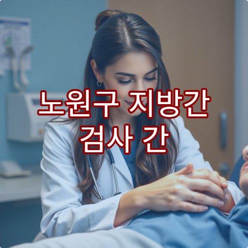 노원구 지방간 검사 간 건강 관리 전문 병원 추천