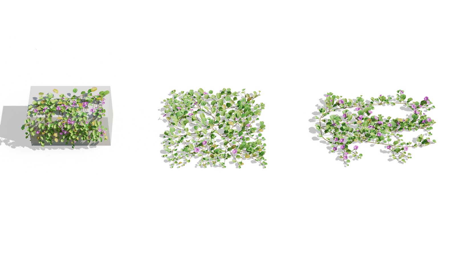 Maxtree - Plant Models Vol.73
