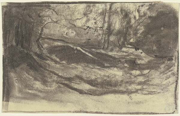 Forest glade
