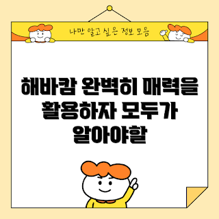 해바캄 매력, 해바캄 활용법, 해바캄은 무엇인가, 해바캄의 장점, 해바캄 사용 방법