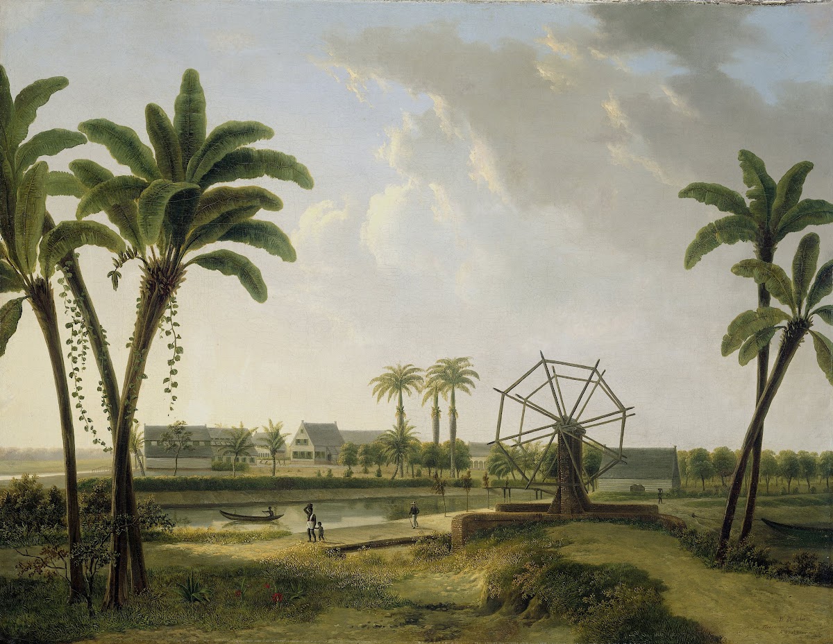 View of the Coffee Plantation Marienbosch in Surinam 1829   1876