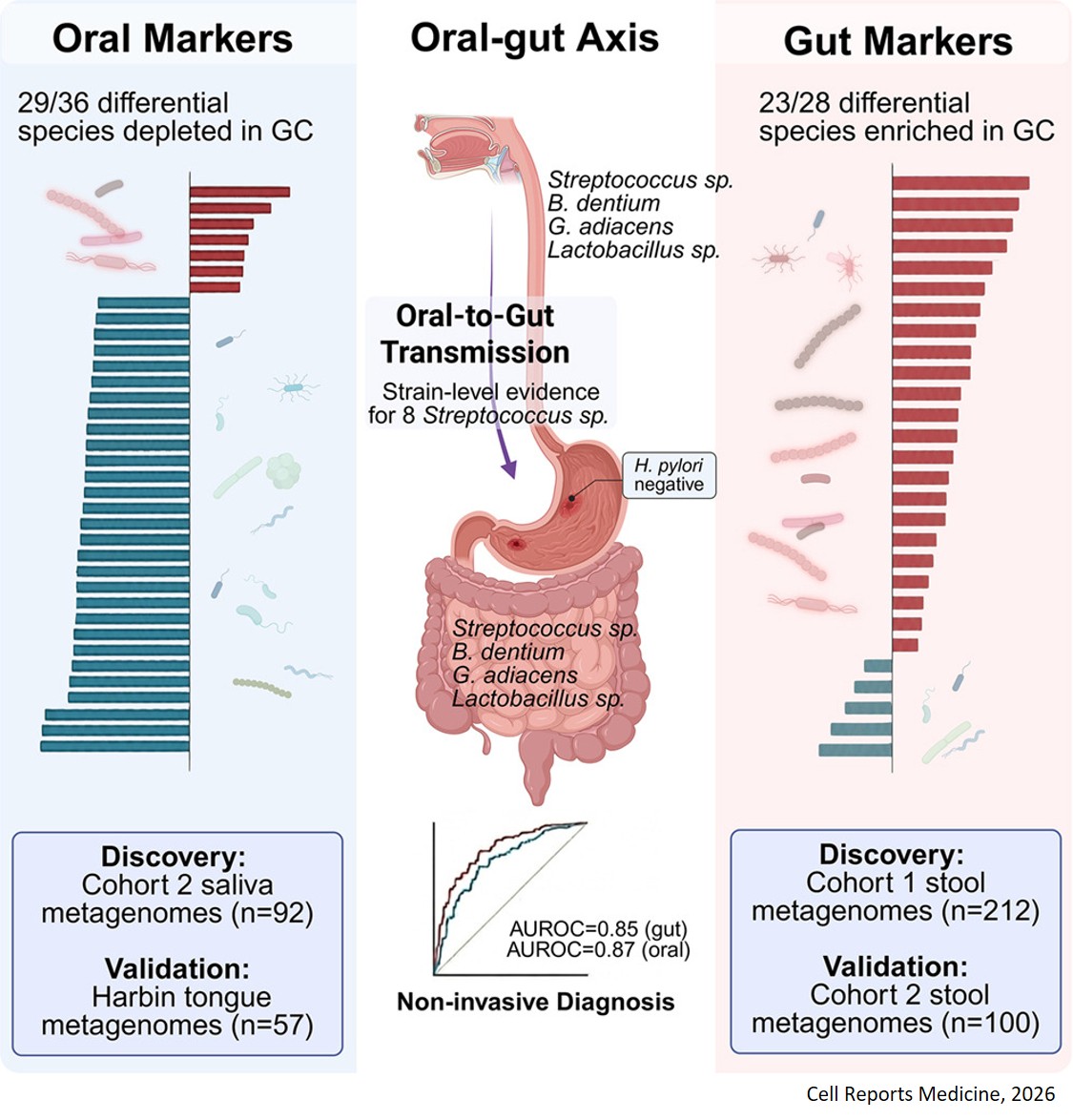 Distinct signatures in the human gut and oral microbiomes of gastric cancer
