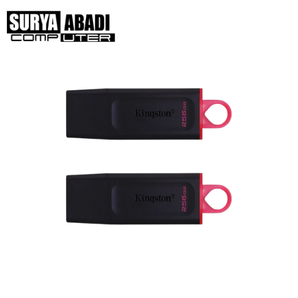 FLASHDISK KINGSTON 256 GB 3.0